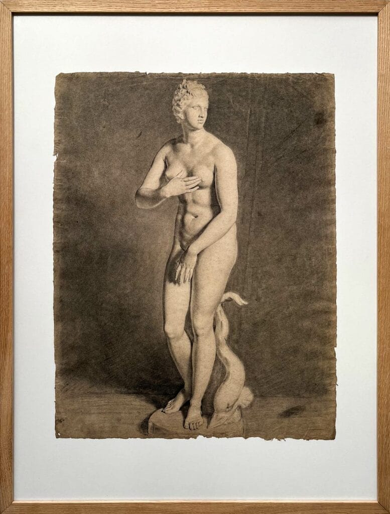 Academic study female nude marble sculpture of the Venus de'Medici. Theophano gallery