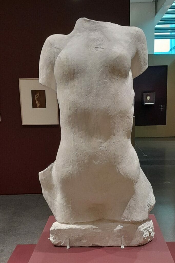 Torse de jeune femme cambrée - Grand Modèle - 1909 - Plâtre - Exposition Rodin-Bourdelle musée de la piscine à Roubaix