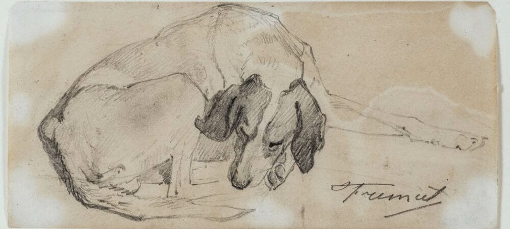 Dessin d'une étude de chien par emmanuel Fremiet, lors de son travail à l'atelier du peintre Werner au musée d'Histoire Naturelle